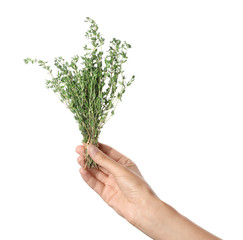 Fototapeta na wymiar Woman holding thyme on white background. Fresh herb
