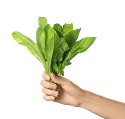 Woman holding spinach on white background. Fresh herb