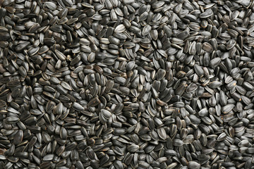 Sunflower seeds as background