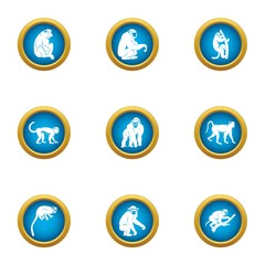Marmoset icons set. Flat set of 9 marmoset vector icons for web isolated on white background