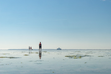  Erlebnis Wattwanderung im Wattenmeer der Nordsee, bei Dagebüll