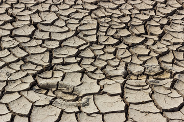 Dry Cracked Dirt Land