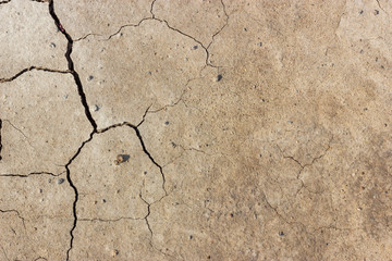 Dry Cracked Dirt Land