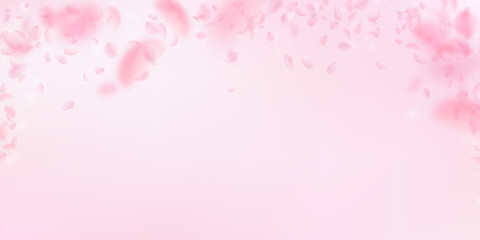 Sakura petals falling down. Romantic pink flowers falling rain. Flying petals on pink wide backgroun