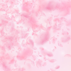 Fototapeta na wymiar Sakura petals falling down. Romantic pink flowers gradient. Flying petals on pink square background.