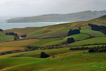 New Zealand rolling hills