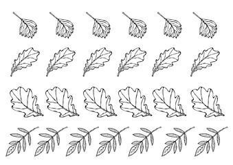 Autumn Leaves Set. Rowan, Oak, Hawthorn. Autumn or Fall Harvest Collection. Realistic Hand Drawn High Quality Vector Illustration. Doodle Style.