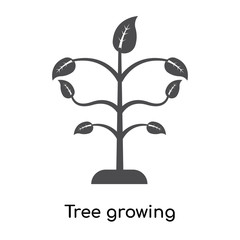 Tree growing icon vector sign and symbol isolated on white background, Tree growing logo concept