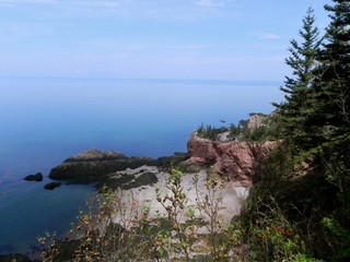 Fototapeta premium Untiled 