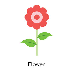 Flower icon vector sign and symbol isolated on white background, Flower logo concept