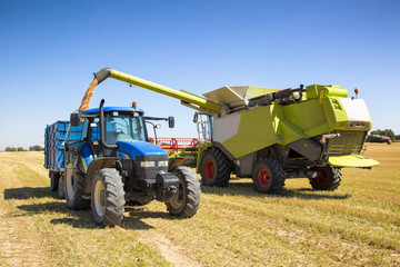 Obraz premium Tractor y cultivo