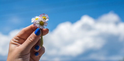 Clouds and Flowers