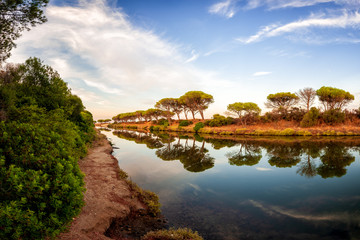 Obraz premium Overview of a stretch of the Petrosu pond, Orosei. Sardinia