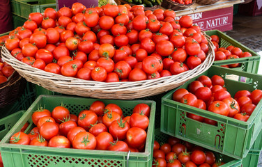 Red Tomatoes in Basket and Boxes