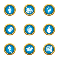 Viticulture icons set. Flat set of 9 viticulture vector icons for web isolated on white background