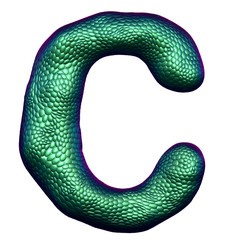 Letter C made of natural green snake skin texture isolated on white.