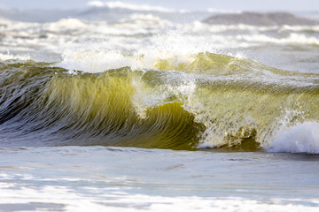 Yellow tinted waves breaking on the Oregon coast.