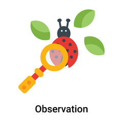 Observation icon vector sign and symbol isolated on white background, Observation logo concept