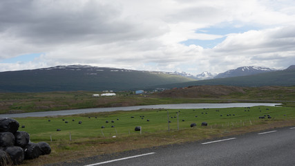 Fluss-Landschaft im Nord-Osten Islands