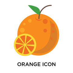 Orange icon vector sign and symbol isolated on white background, Orange logo concept