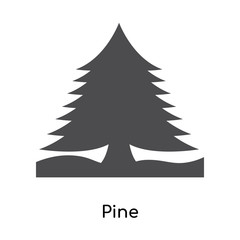 Pine icon vector sign and symbol isolated on white background, Pine logo concept