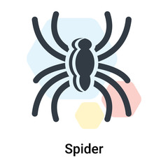 Spider icon vector sign and symbol isolated on white background, Spider logo concept