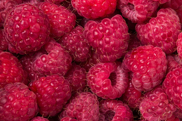 The berries are Red Raspberry