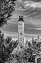 Biała latarnia morska na wyspie Farol, Portugalia.  © Aneta