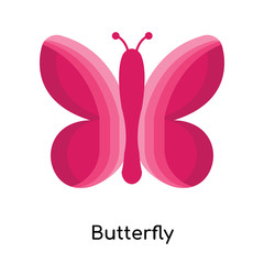 Butterfly icon vector sign and symbol isolated on white background, Butterfly logo concept