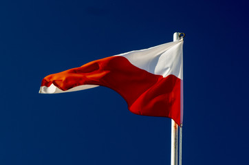 Biało- czerwona flaga Polski na wietrze.  - obrazy, fototapety, plakaty
