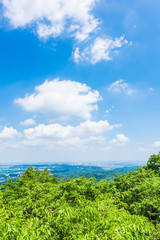 Obraz na płótnie Canvas 高尾山の大自然　Nature of Mt Takao