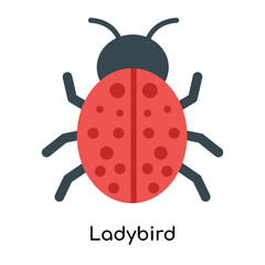 Ladybird icon vector sign and symbol isolated on white background, Ladybird logo concept