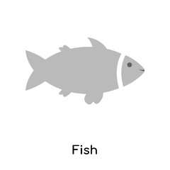 Fish icon vector sign and symbol isolated on white background, Fish logo concept