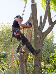 Female tree surgeon sawing down part of a tree