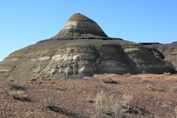 Hoodoos und Badlands Bisti Wilderness Area New Mexico USA