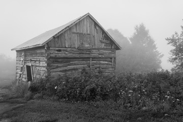Old vintage sawn log cabin in the fog bw