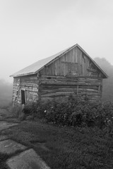 Old vintage sawn log cabin in the fog bw