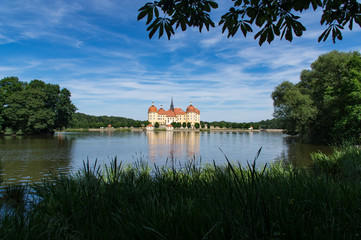 Schloß Moritzburg umrahmt von grüner Natur vor blauen Himmel