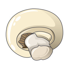 Eco champignon icon. Cartoon of eco champignon vector icon for web design isolated on white background
