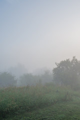 Pasture and trees in morning misty fog on a farm