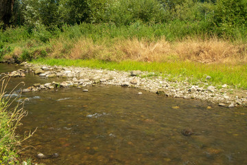 Niedrigwasser beim Lachsbach in Bad Schandau am 31.07.2018