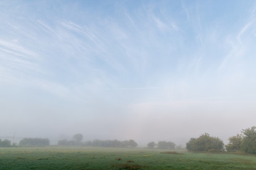 Fototapeta premium Pasture and trees in morning misty fog with blue sky and cirrus clouds above