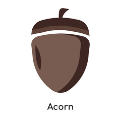 Acorn icon vector sign and symbol isolated on white background, Acorn logo concept