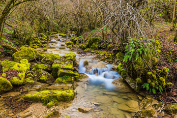 Beautiful wild creek (Torrent de la Masica, Vallfogona de Ripolles, Catalonia, Spain)