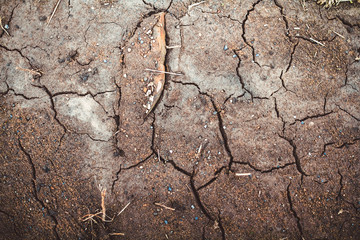 the texture of the clay