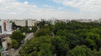 Fototapeta premium View of the park from a height. Foliage from the height.