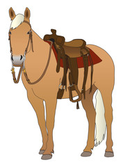 Fototapeta premium A palomino horse is saddled up and ready to ride