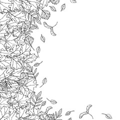 Fototapeta premium Autumn Background Layout Frame with Falling Leaves. Poster or Card. Maple Rowan, Oak, Hawthorn, Birch. Red, Orange and Yellow. Realistic Hand Drawn High Quality Vector Illustration. Doodle Style.