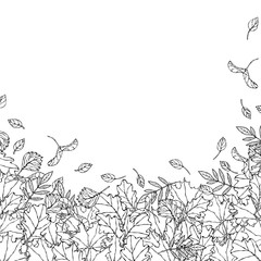 Fototapeta premium Autumn Background Layout Frame with Falling Leaves. Poster or Card. Maple Rowan, Oak, Hawthorn, Birch. Red, Orange and Yellow. Realistic Hand Drawn High Quality Vector Illustration. Doodle Style.
