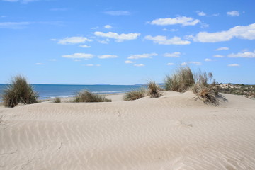 Fototapeta na wymiar Plage de rêve dans le Languedoc, le petit travers, plage de sable fin à Carnon, Hérault, Occitanie, France 
